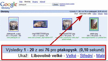 Výsledky hledání obrázků na Google