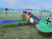 Albatros